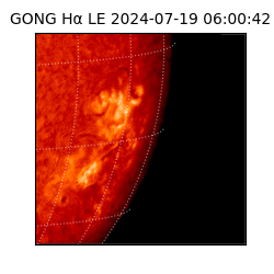 gong - 2024-07-19T06:00:42