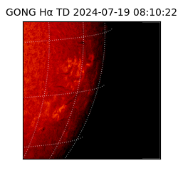 gong - 2024-07-19T08:10:22