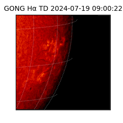 gong - 2024-07-19T09:00:22