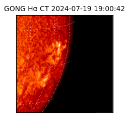 gong - 2024-07-19T19:00:42