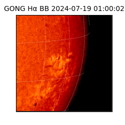 gong - 2024-07-19T01:00:02