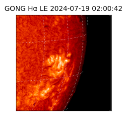 gong - 2024-07-19T02:00:42