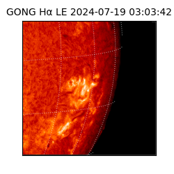 gong - 2024-07-19T03:03:42