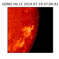 gong - 2024-07-19T07:00:42