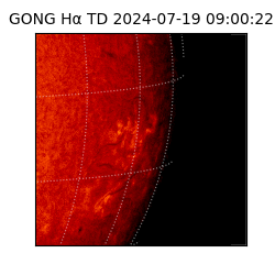 gong - 2024-07-19T09:00:22