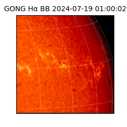 gong - 2024-07-19T01:00:02