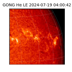 gong - 2024-07-19T04:00:42