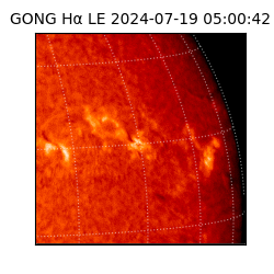 gong - 2024-07-19T05:00:42