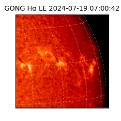 gong - 2024-07-19T07:00:42