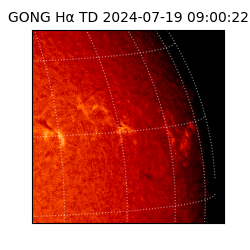 gong - 2024-07-19T09:00:22