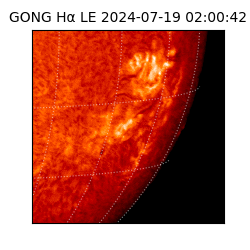 gong - 2024-07-19T02:00:42