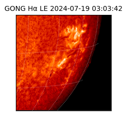 gong - 2024-07-19T03:03:42