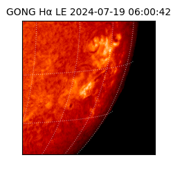 gong - 2024-07-19T06:00:42