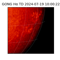 gong - 2024-07-19T10:00:22