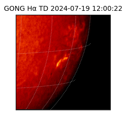 gong - 2024-07-19T12:00:22