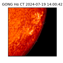 gong - 2024-07-19T14:00:42