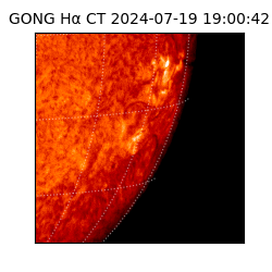 gong - 2024-07-19T19:00:42