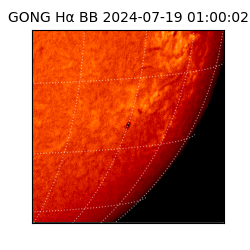 gong - 2024-07-19T01:00:02