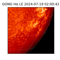 gong - 2024-07-19T02:00:42