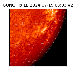 gong - 2024-07-19T03:03:42