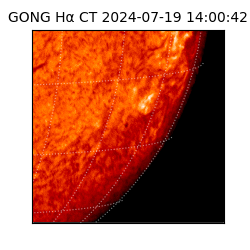 gong - 2024-07-19T14:00:42