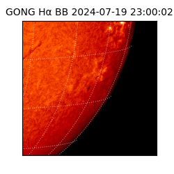 gong - 2024-07-19T23:00:02