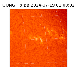 gong - 2024-07-19T01:00:02