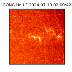 gong - 2024-07-19T02:00:42