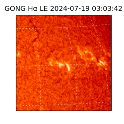 gong - 2024-07-19T03:03:42