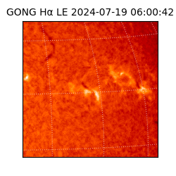 gong - 2024-07-19T06:00:42