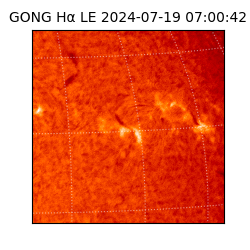 gong - 2024-07-19T07:00:42