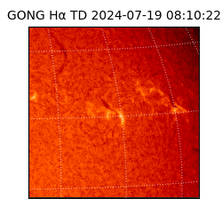 gong - 2024-07-19T08:10:22