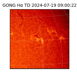 gong - 2024-07-19T09:00:22