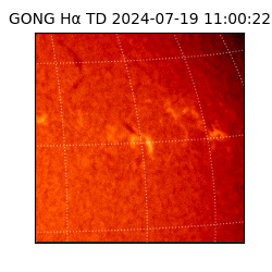 gong - 2024-07-19T11:00:22