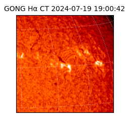 gong - 2024-07-19T19:00:42