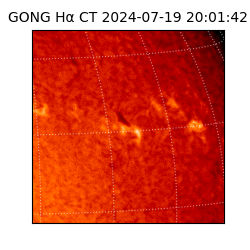 gong - 2024-07-19T20:01:42