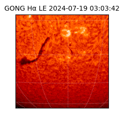 gong - 2024-07-19T03:03:42