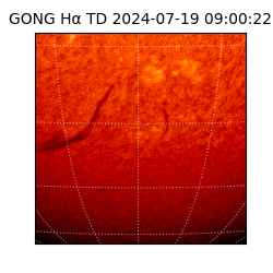 gong - 2024-07-19T09:00:22