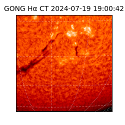 gong - 2024-07-19T19:00:42