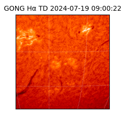 gong - 2024-07-19T09:00:22