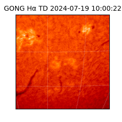 gong - 2024-07-19T10:00:22