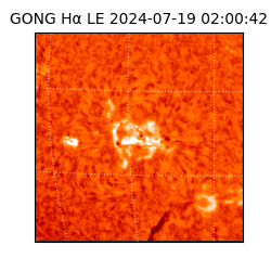 gong - 2024-07-19T02:00:42