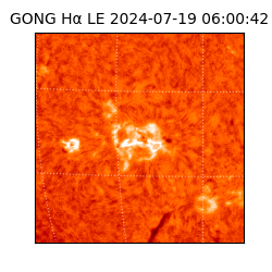 gong - 2024-07-19T06:00:42