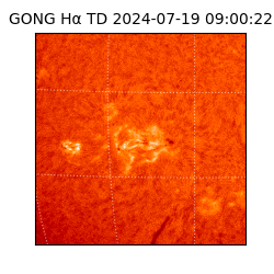 gong - 2024-07-19T09:00:22