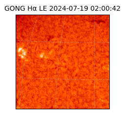 gong - 2024-07-19T02:00:42