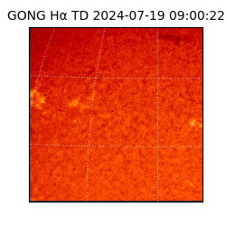 gong - 2024-07-19T09:00:22