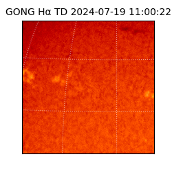 gong - 2024-07-19T11:00:22