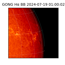 gong - 2024-07-19T01:00:02