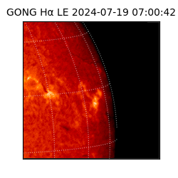 gong - 2024-07-19T07:00:42