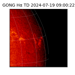 gong - 2024-07-19T09:00:22